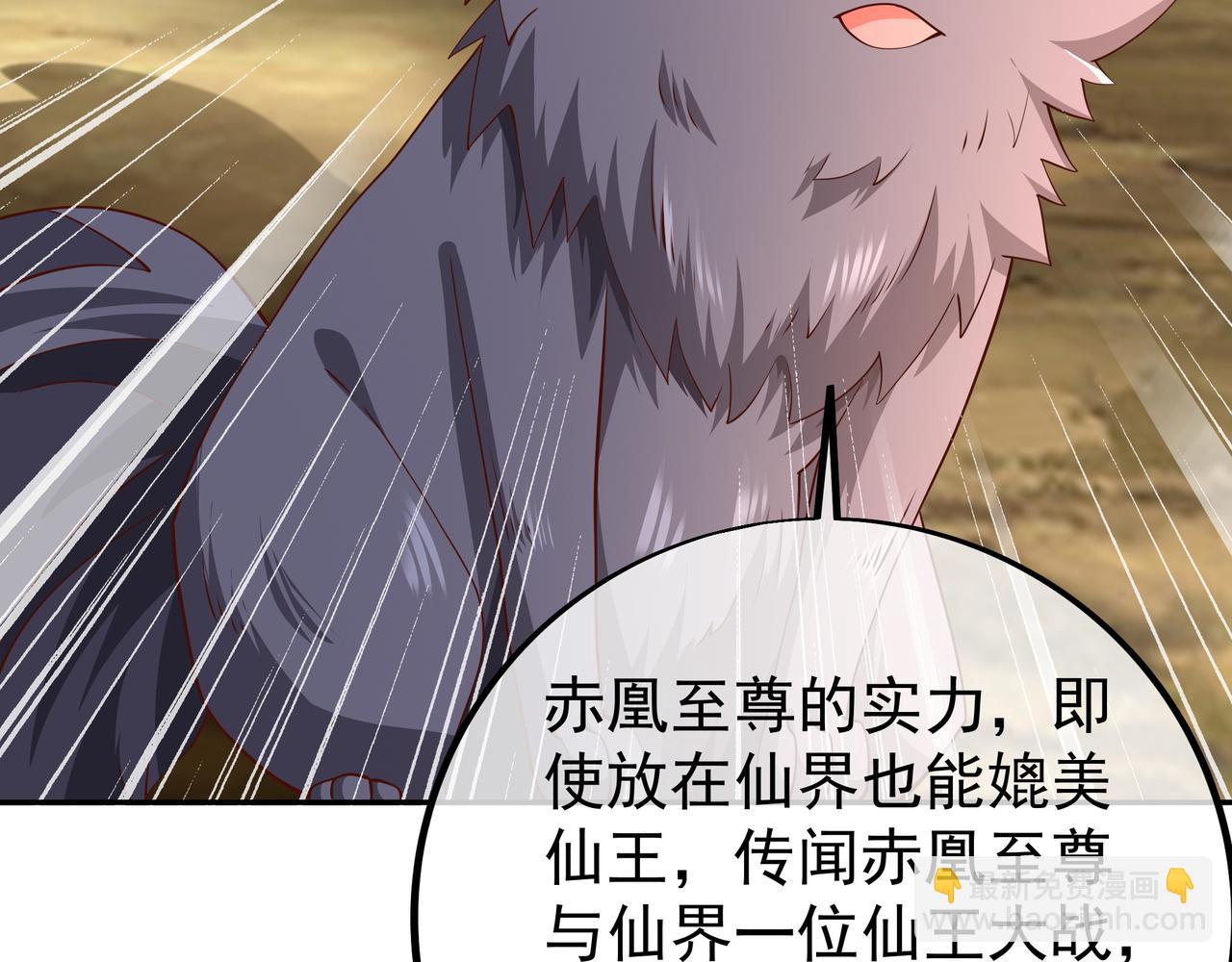 赤皇至尊16