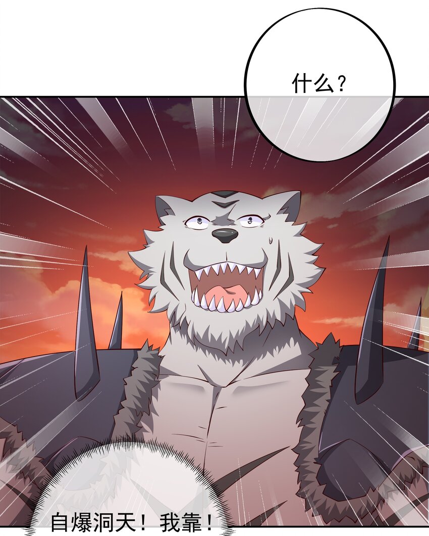 112 洞天之力！13