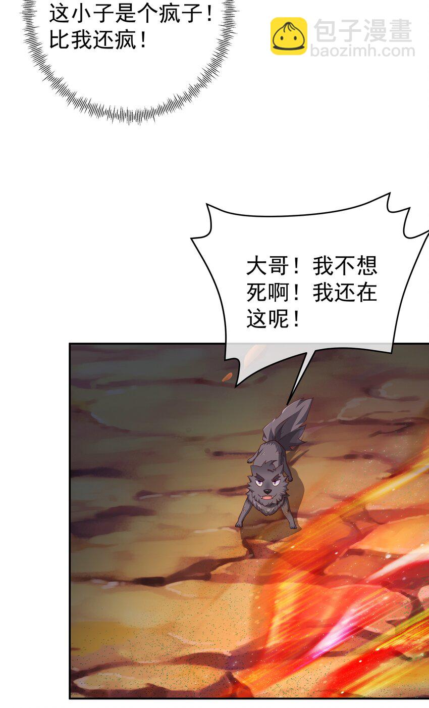 112 洞天之力！14