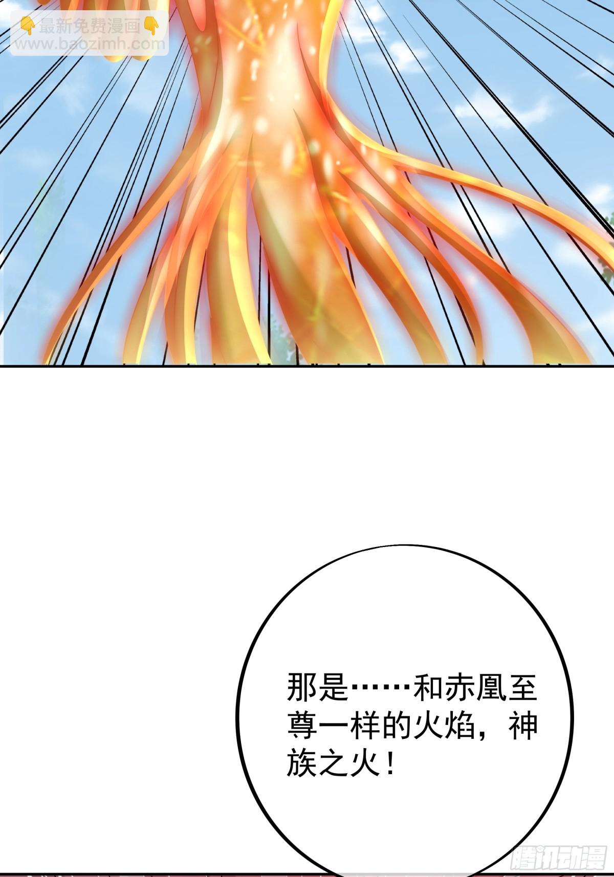 神兽之力11