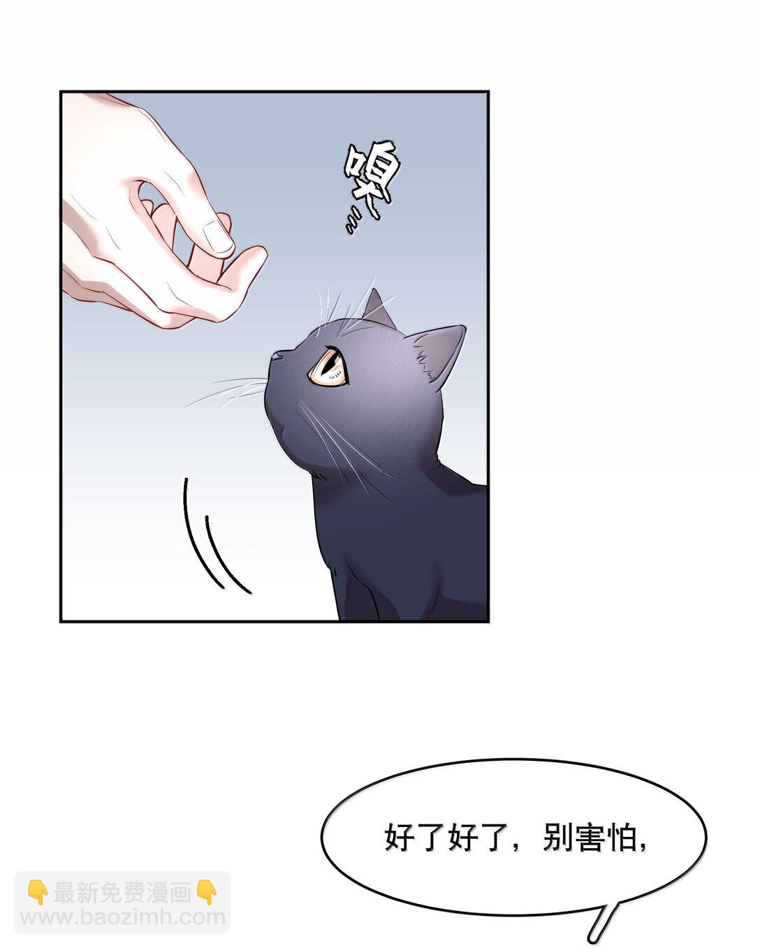 第97章 “故猫”4