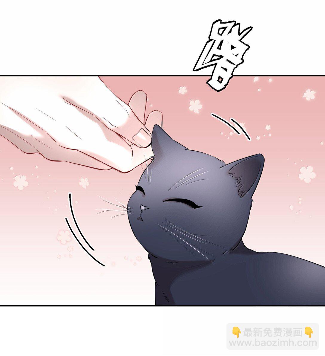 第97章 “故猫”6