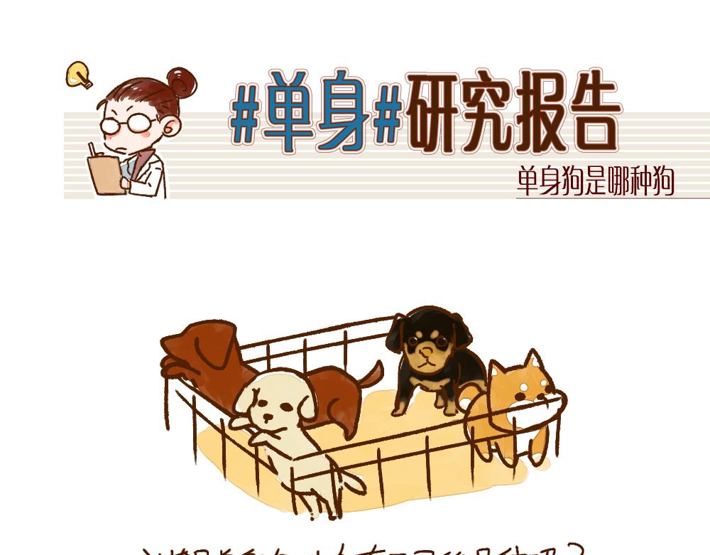 003 假如单身就是狗……5