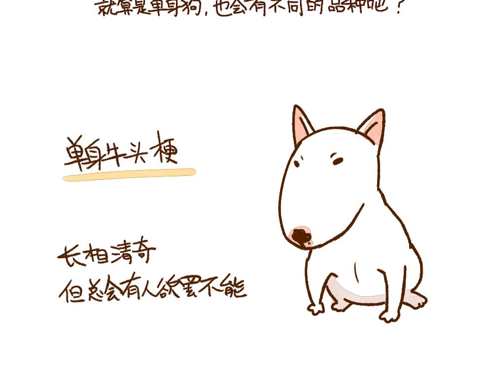 003 假如单身就是狗……6