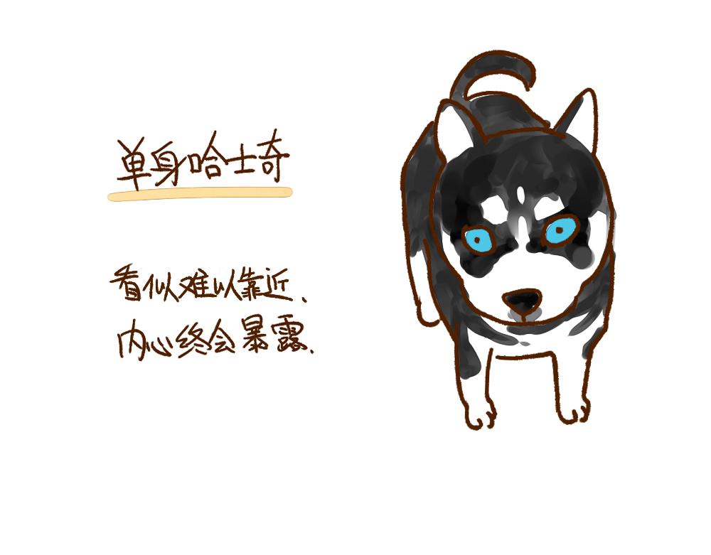 003 假如单身就是狗……7