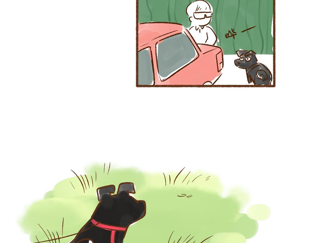 053 遛狗的一点儿小事15
