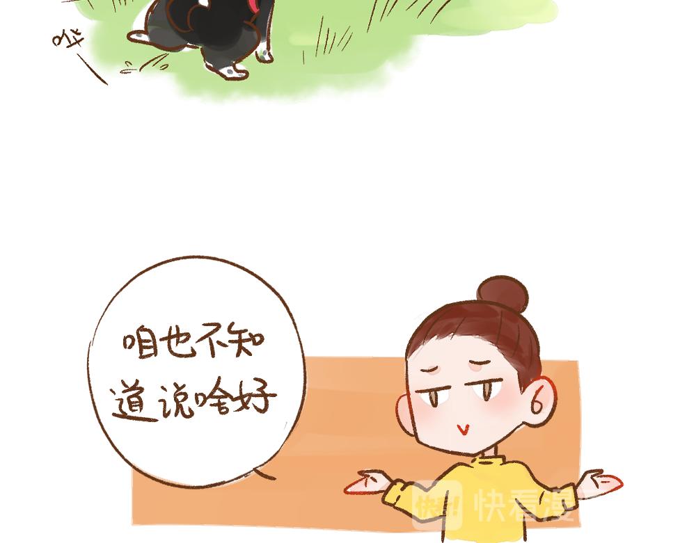 053 遛狗的一点儿小事16