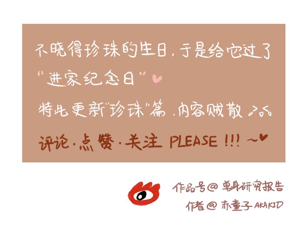053 遛狗的一点儿小事24