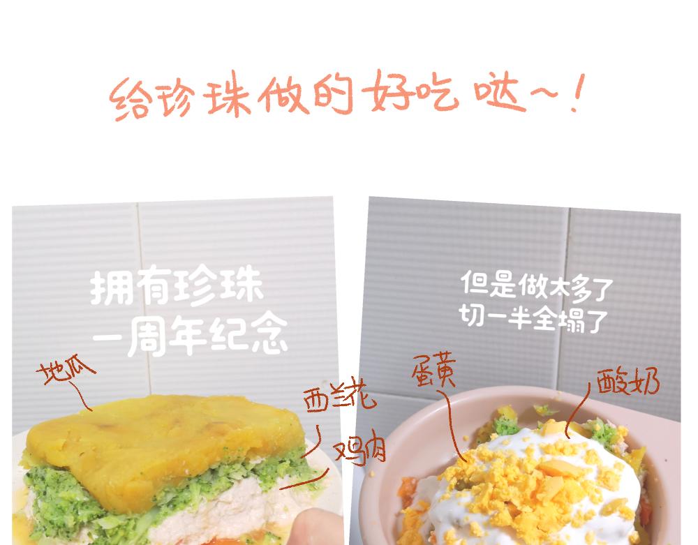053 遛狗的一点儿小事26