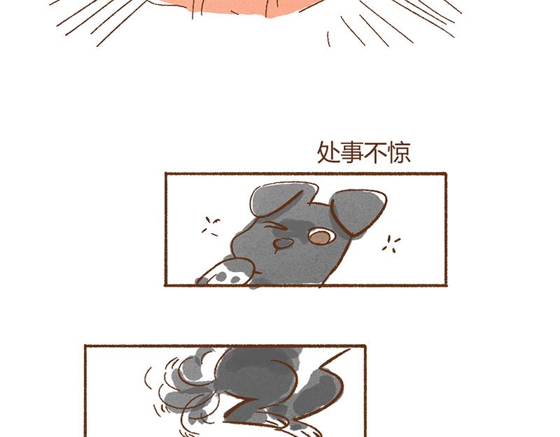 072 当治愈结束之后……17