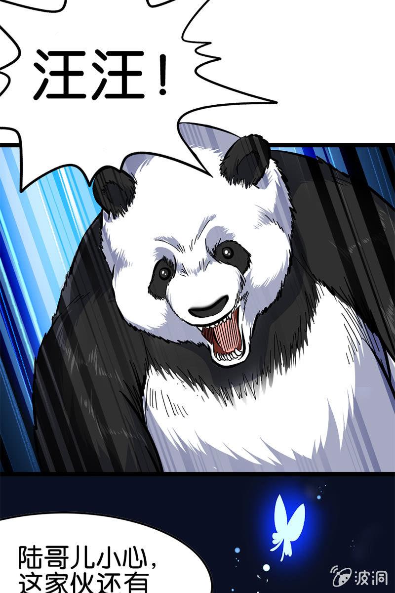这熊猫怕不是狗假扮的吧？！8