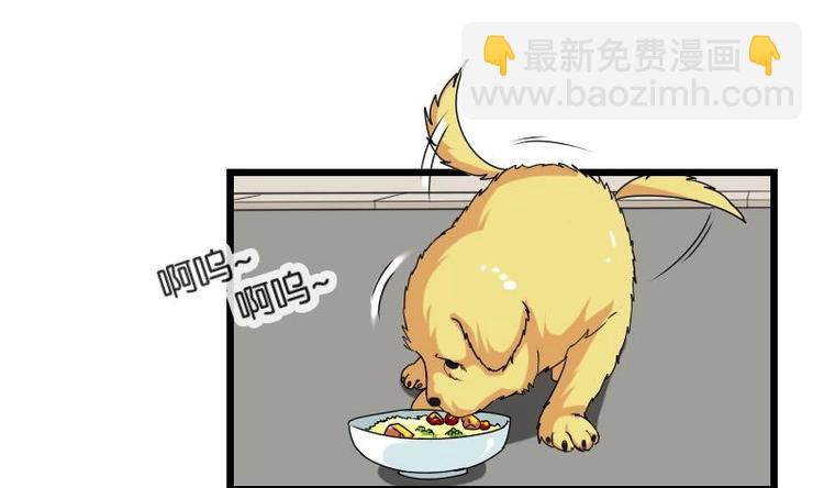 第14话 实验34