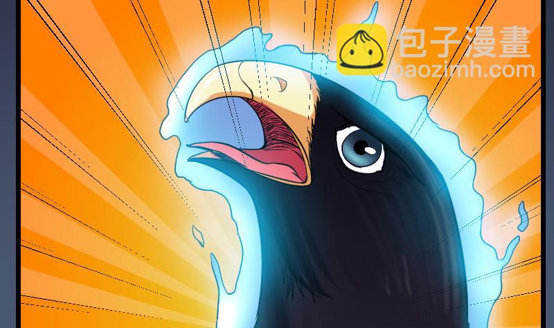 第137话 猛禽19