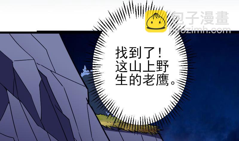 第137话 猛禽4