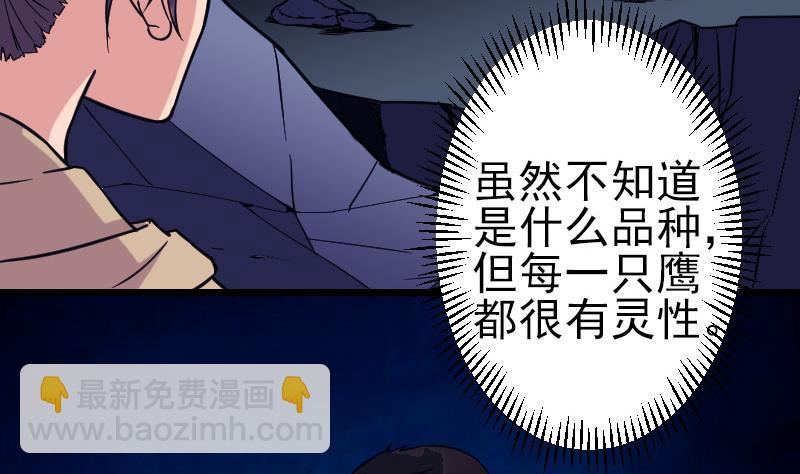 第137话 猛禽6