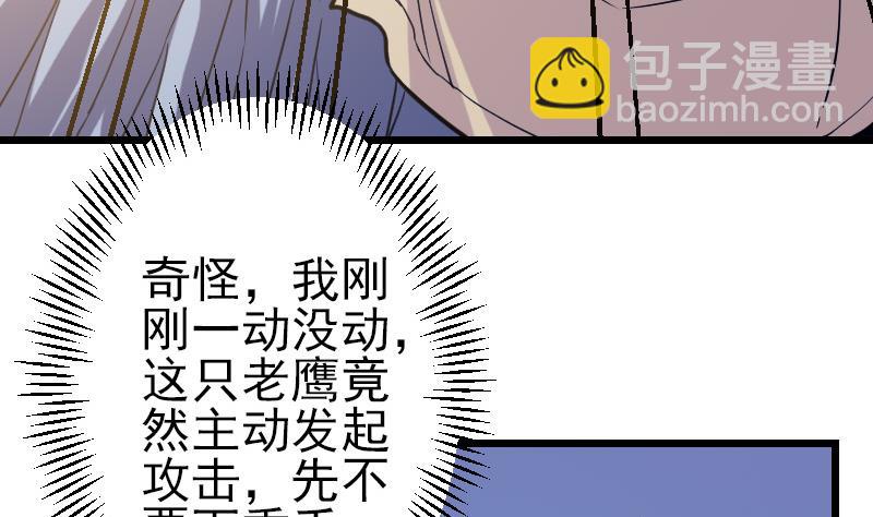 第137话 猛禽65