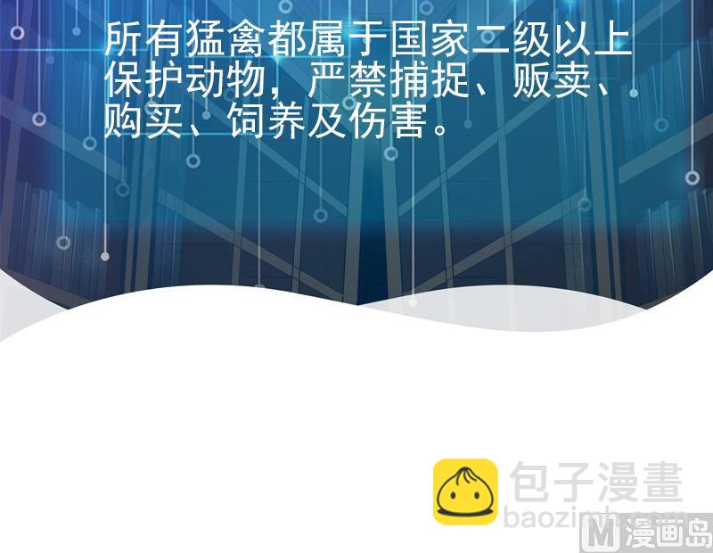 第137话 猛禽69