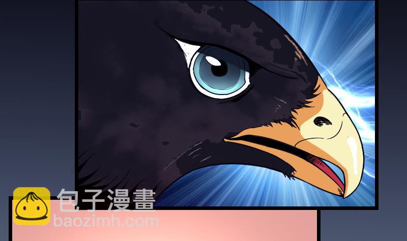 第137话 猛禽9