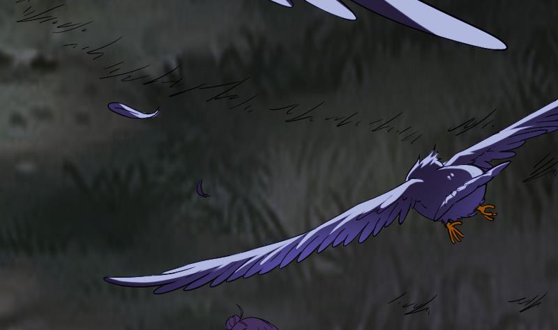 第171话 试驾6
