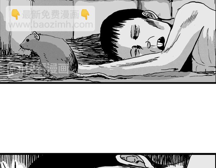 第22话 迷雾岛（九）29