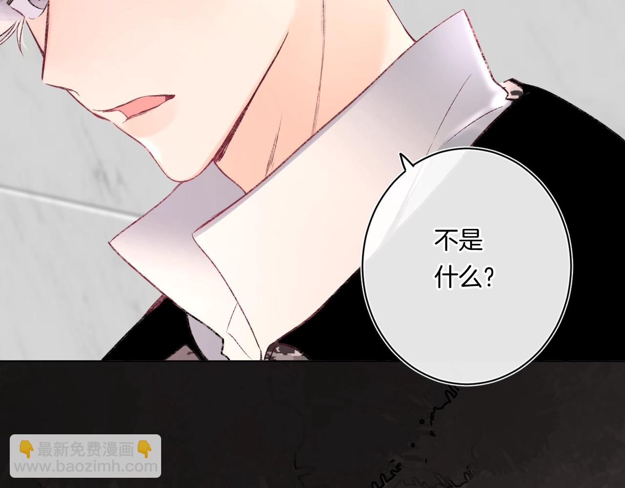 第93话 小少夫人48
