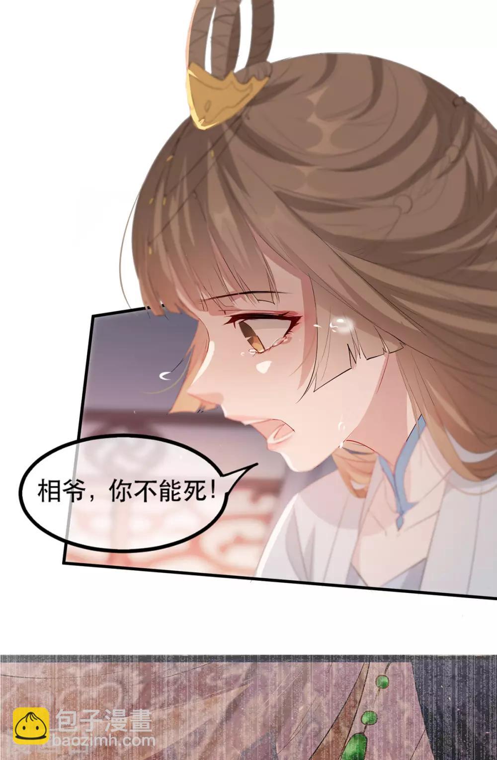 第63话 相爷病危！29