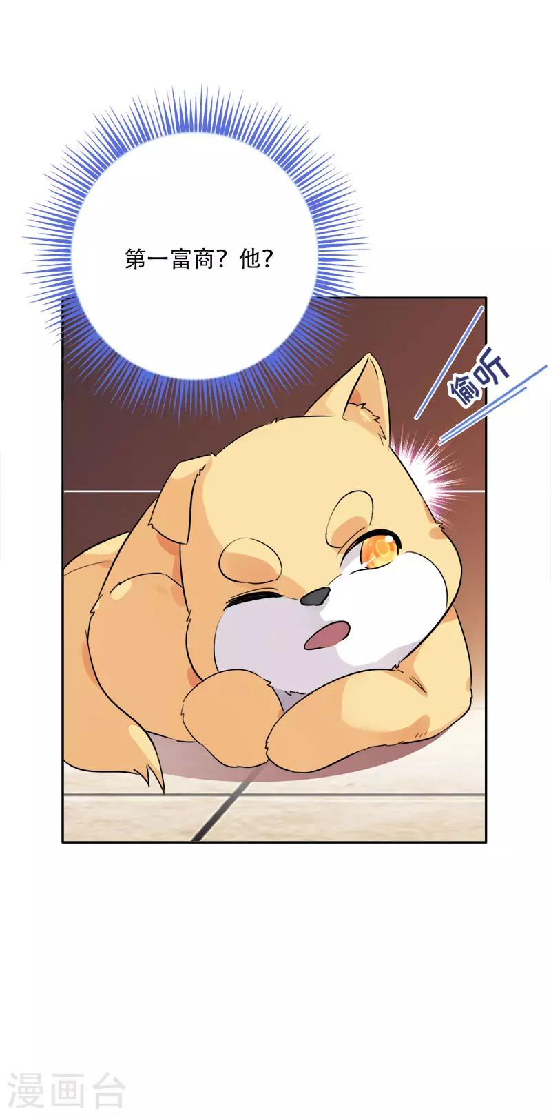 第5话 饲主太受欢迎怎么办1