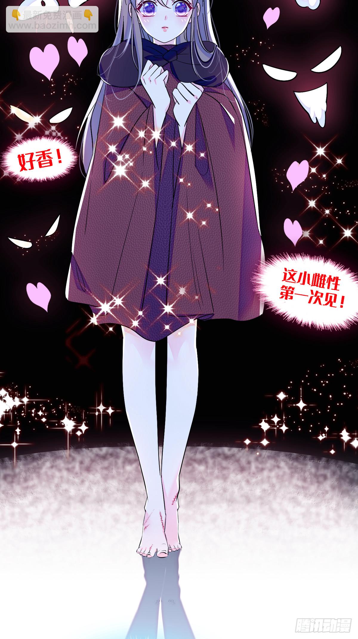 08 霜云15