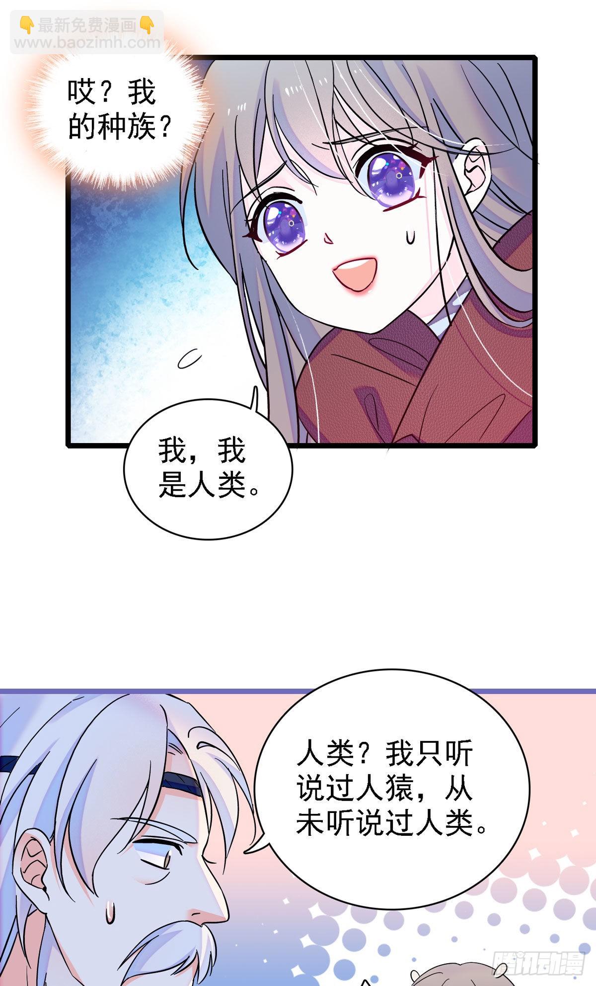 11 手艺达人？！16