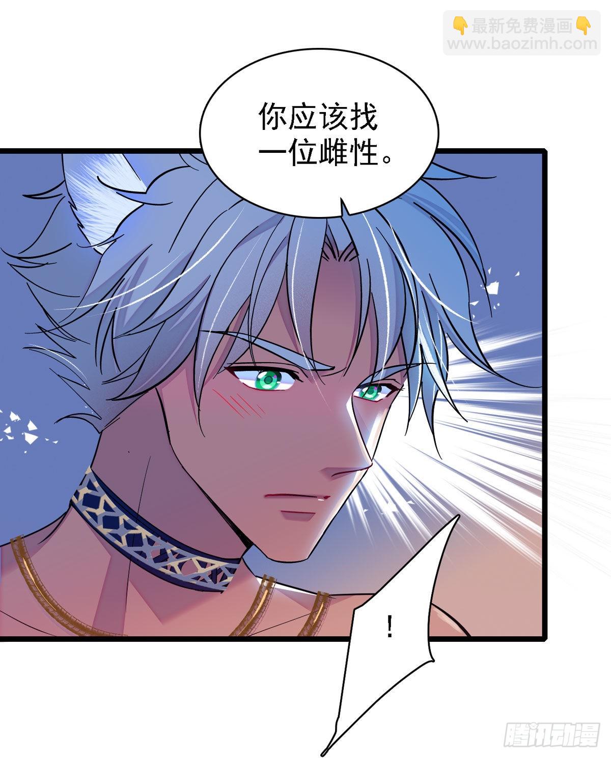11 手艺达人？！4