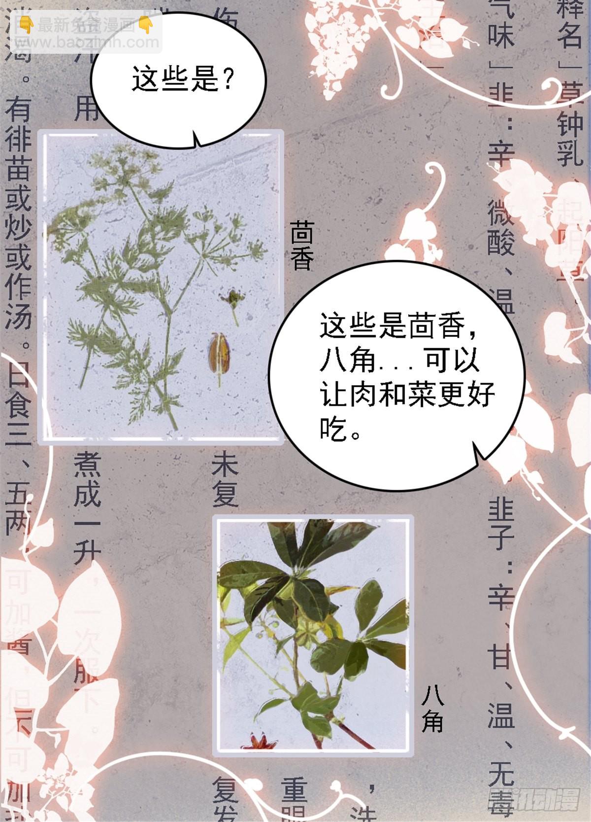 23 木香15