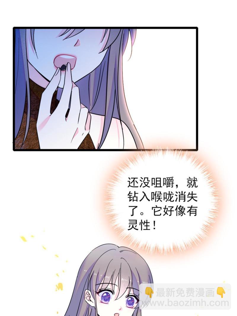 58 神木种子18