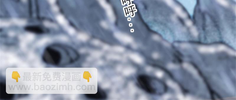 58 神木种子33