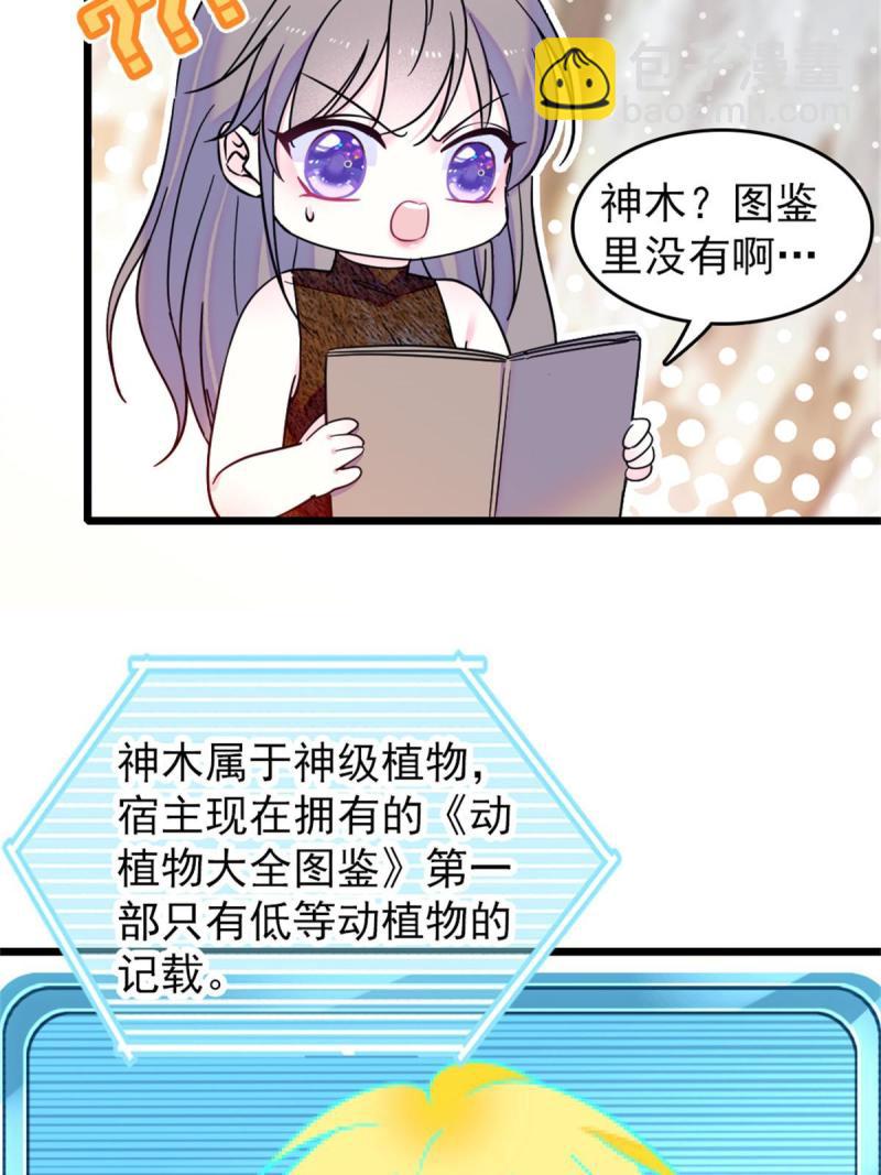 58 神木种子7