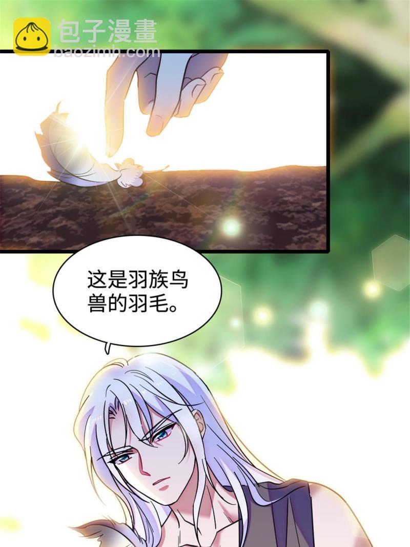 81 羽族出现40