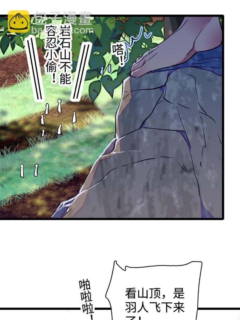 81 羽族出现44
