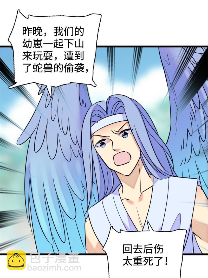81 羽族出现57