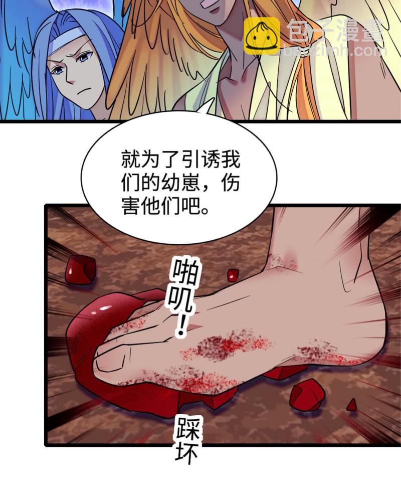 81 羽族出现63