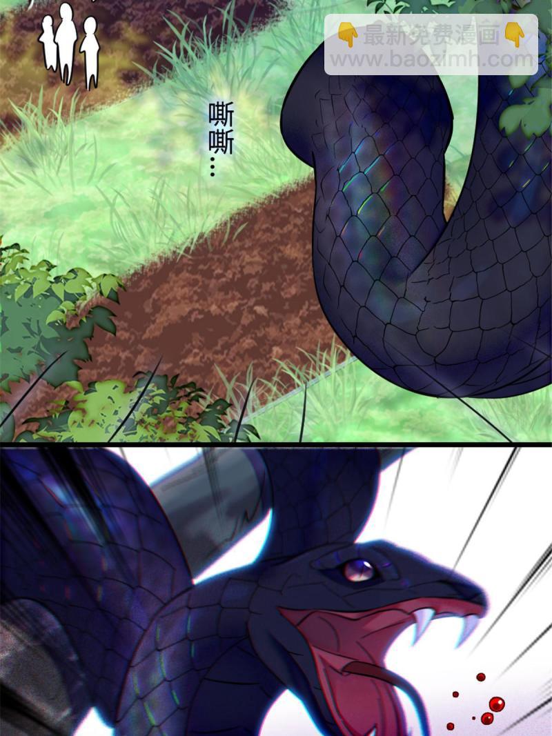 81 羽族出现66