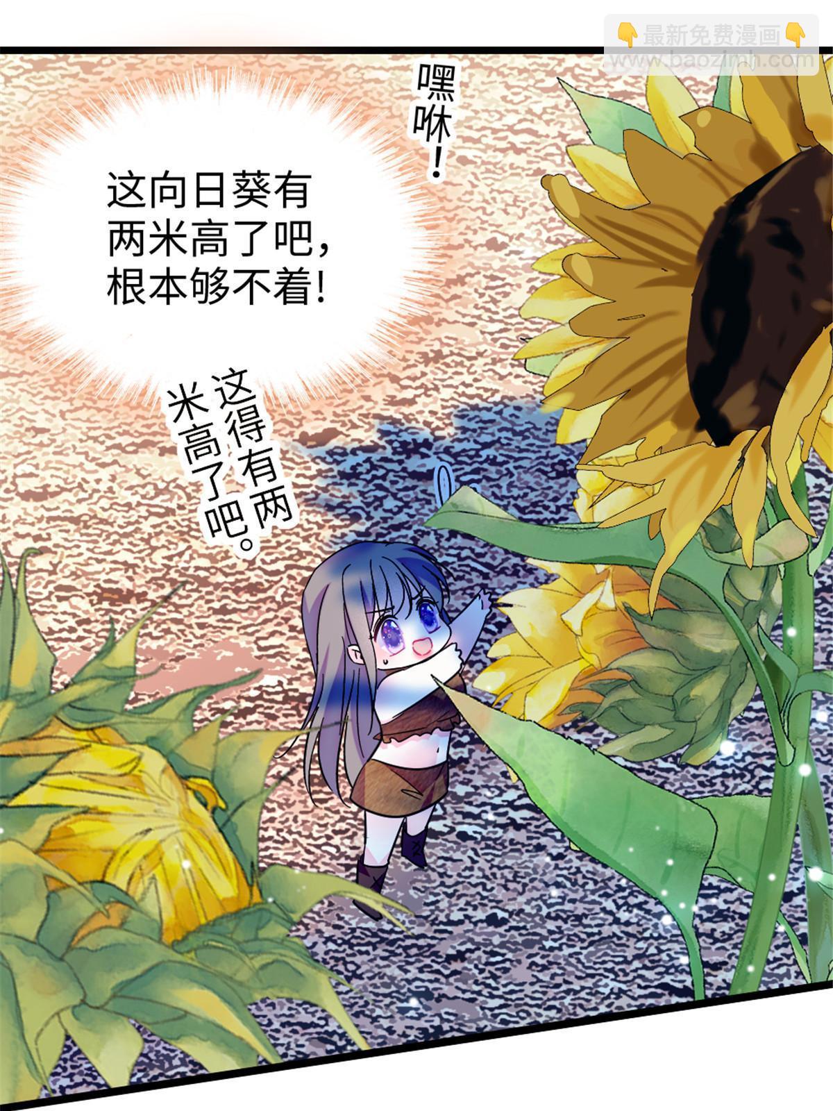 95 植物大战兽人20