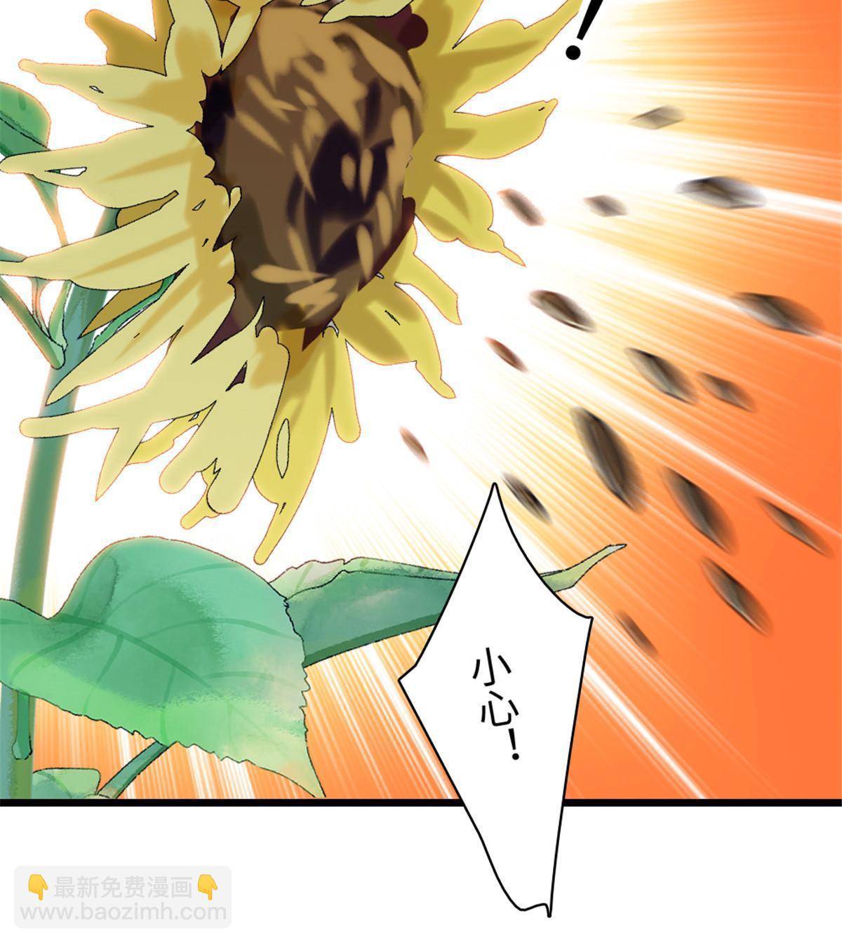 95 植物大战兽人23