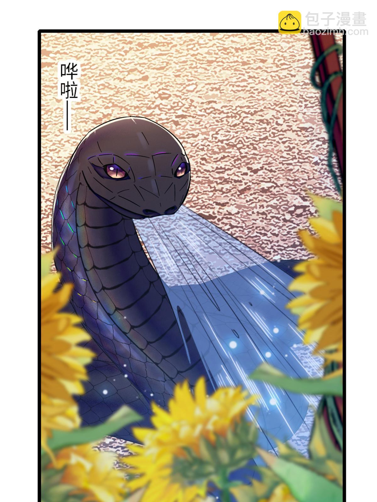 95 植物大战兽人46