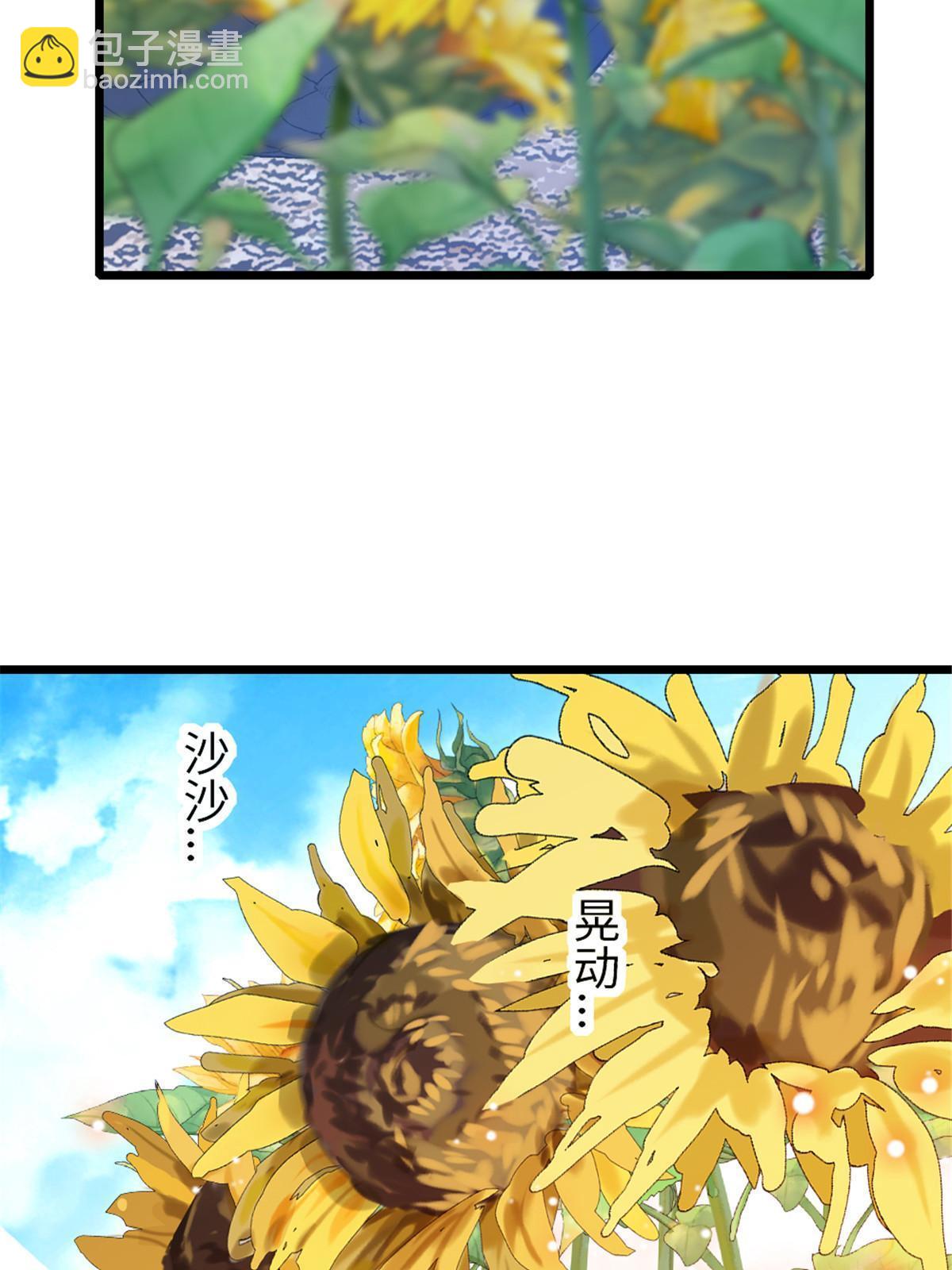 95 植物大战兽人47