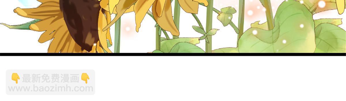 95 植物大战兽人48