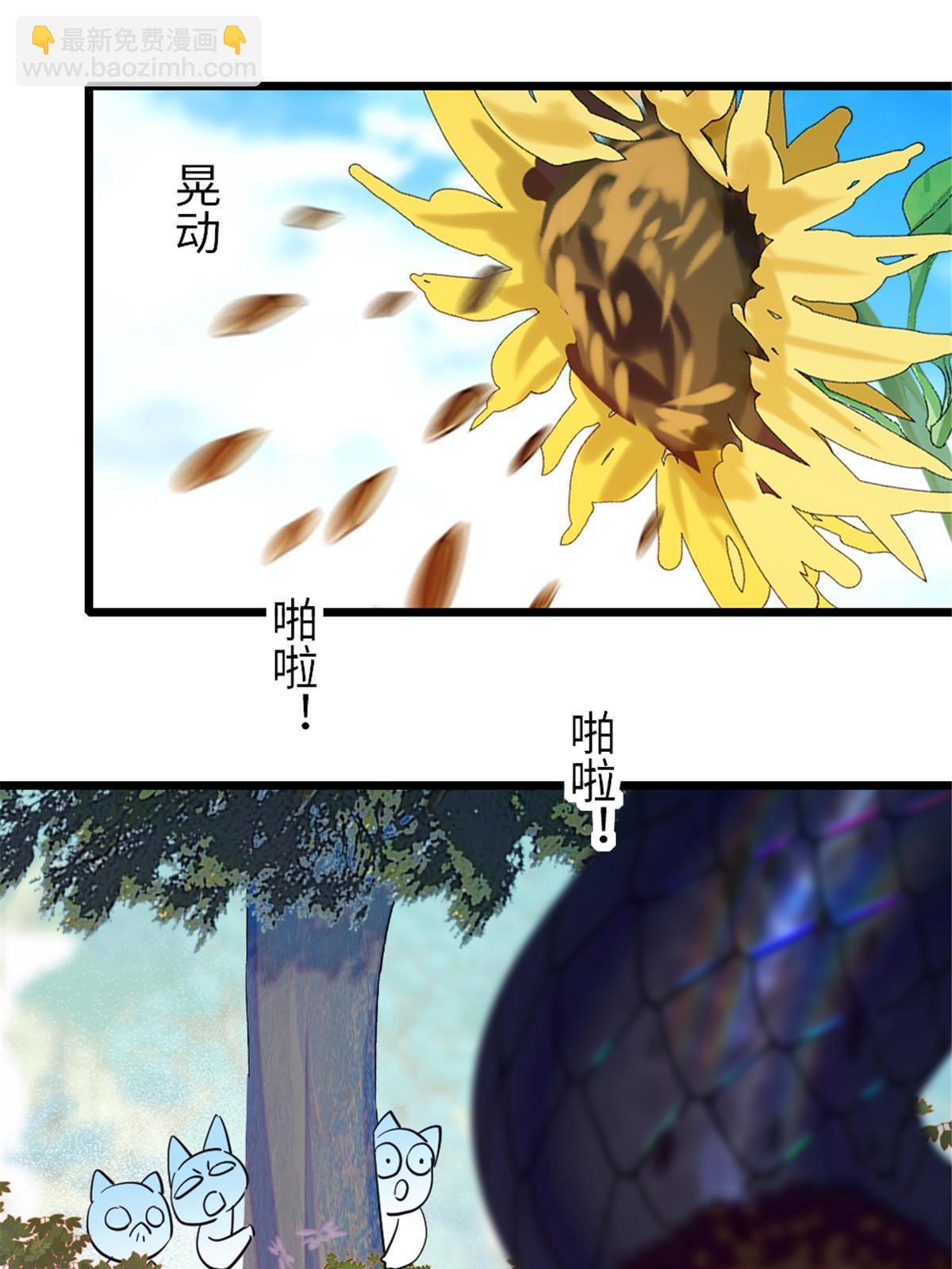 95 植物大战兽人57