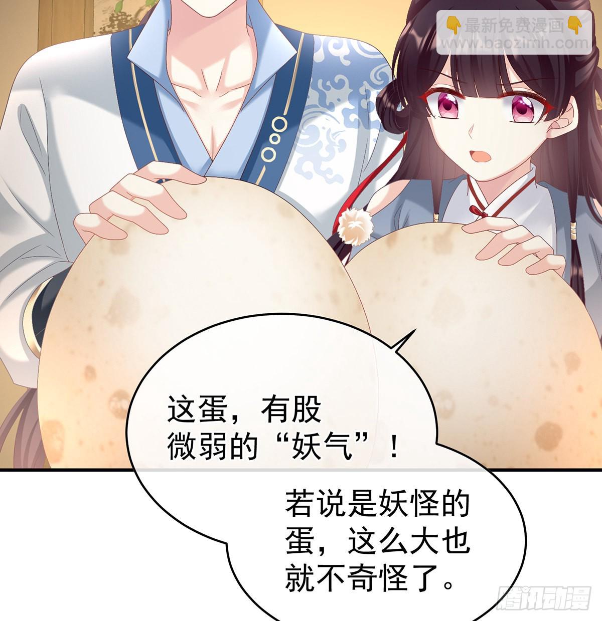 总得有人孵蛋12