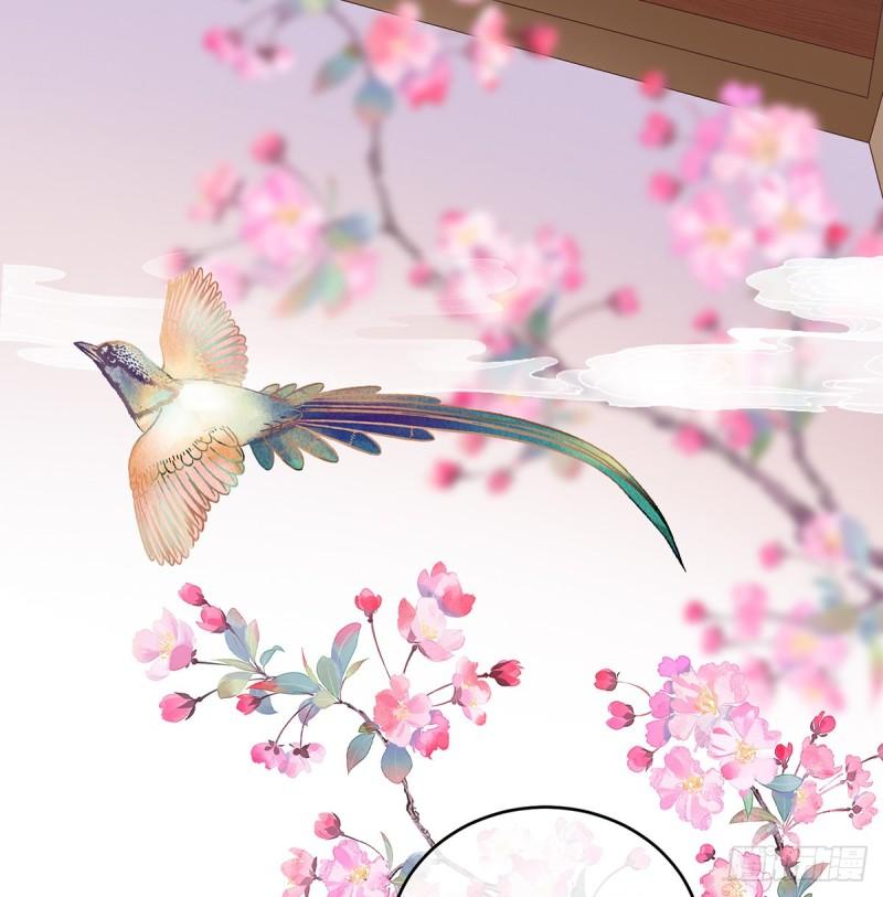 春风罗绮，相携入戏72