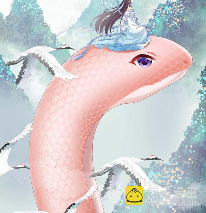 还想要几个孩子14
