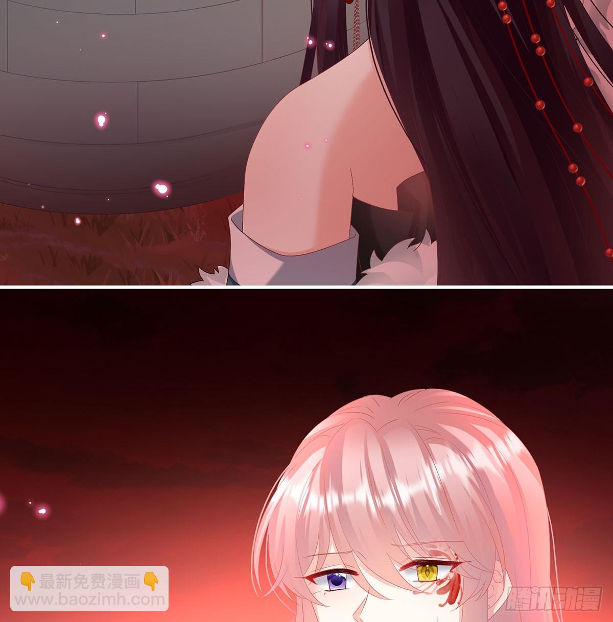 投入轮回井50