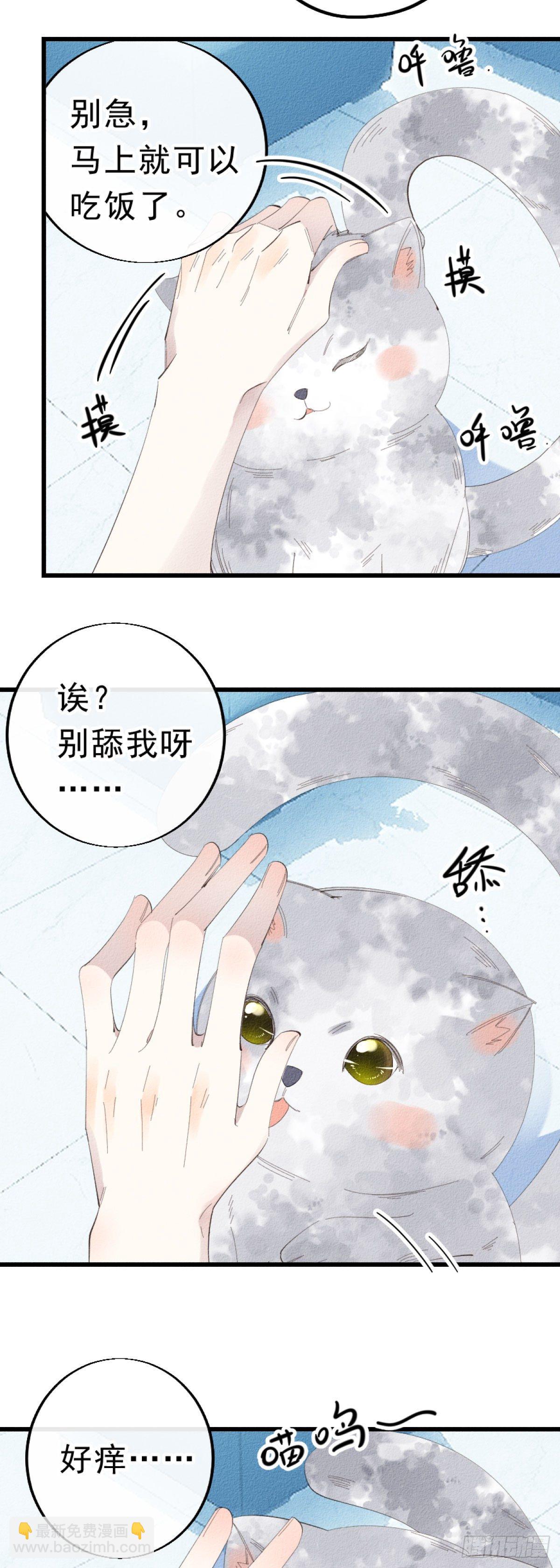 5.终于把小猫咪拐回家了！6